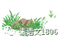 老年篮球爱好者如何保持罚球的手感?_2